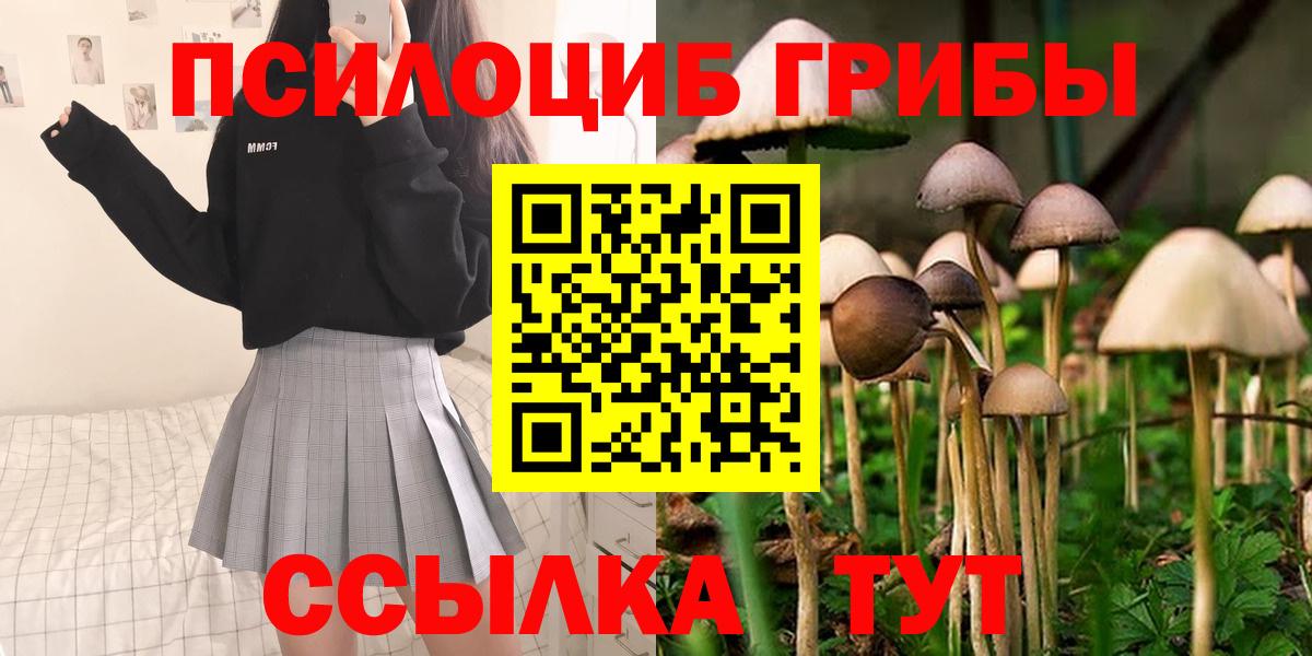 Псилоцибиновые грибы мухоморы Котовск